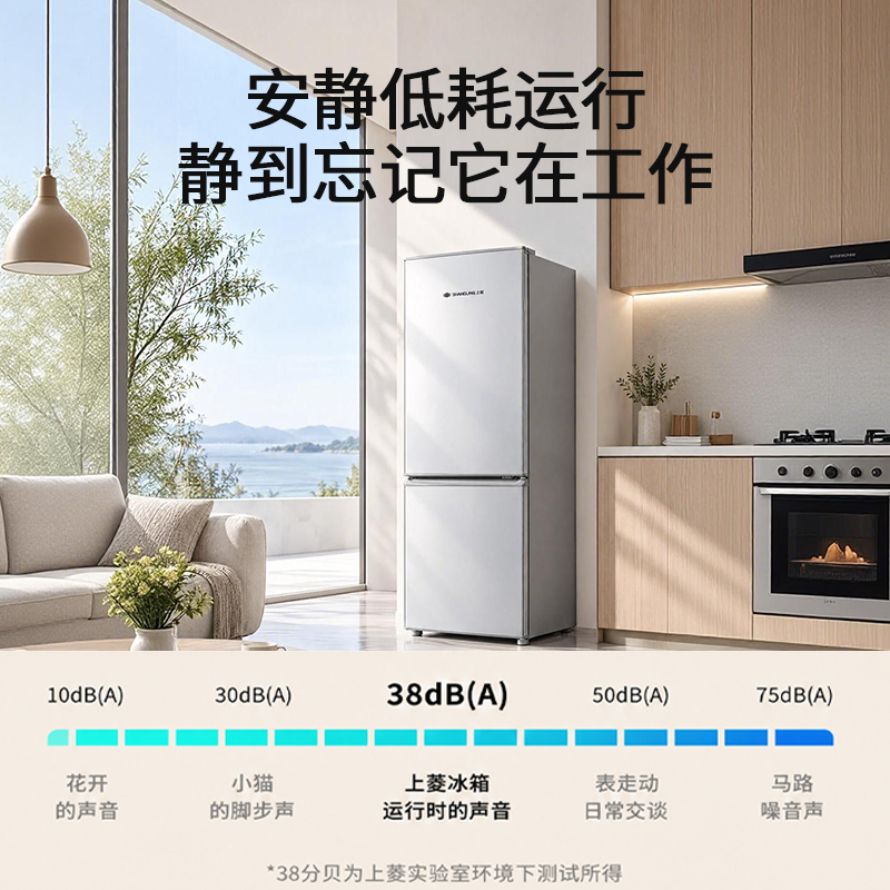 上菱双门冰箱BBM229KL铂银节能省电低温补偿轻音长效锁冷小巧不占地宿舍租房小型家用电冰箱高清大图