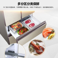 Haier/海尔冰箱干湿分储变频精控风冷无霜多门对开门冰箱超导料理盘BCD-557WDGSU1