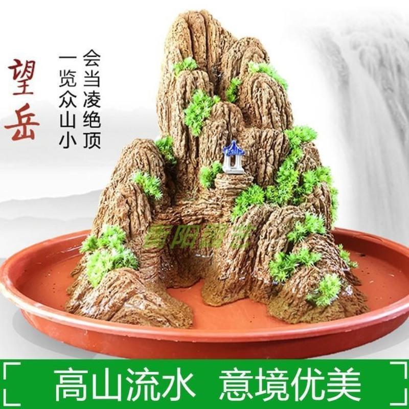 山石草盆景草假山草种子 室内盆栽吸水石草 四季播绿植物造景草籽 草籽10袋