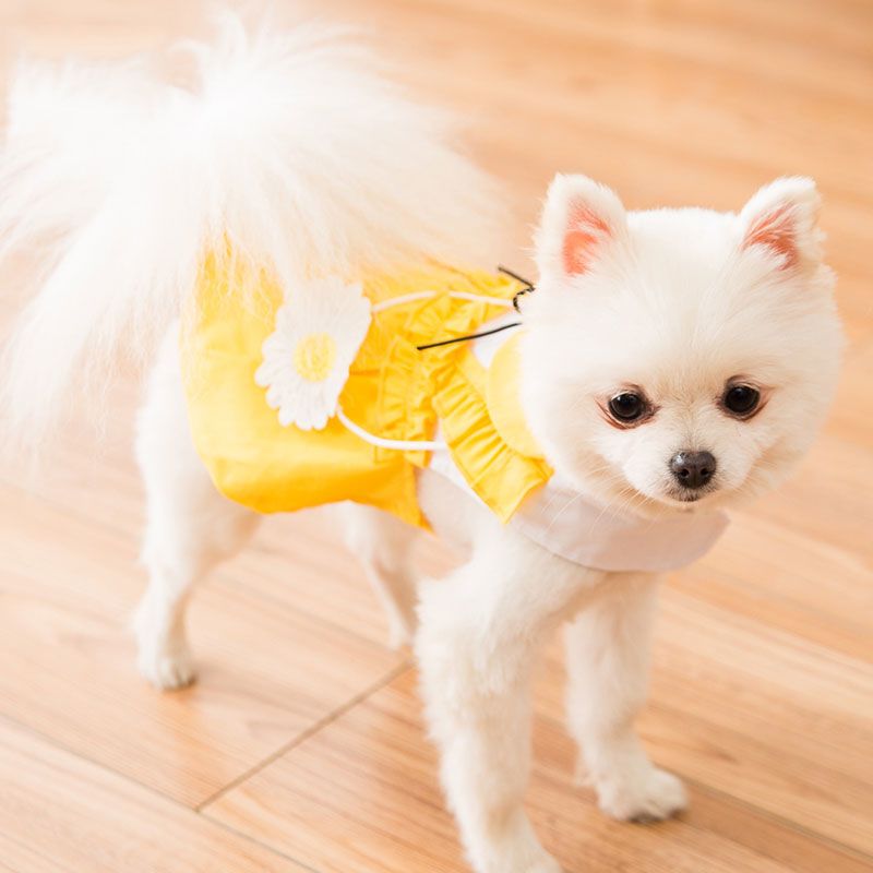 可爱小狗狗衣服春秋薄款夏季公主小型犬泰迪宠物博美猫咪背心裙子 粉色挎包背心 L(建议体重8-11斤)