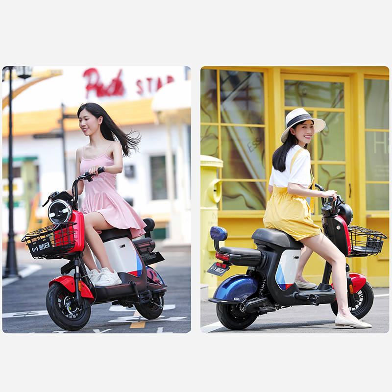 新日（Sunra）电动车 新国标XCmini电动自行车 可提取锂电池 成人电瓶车 48V20AH/锂电/勒芒灰/油光黑