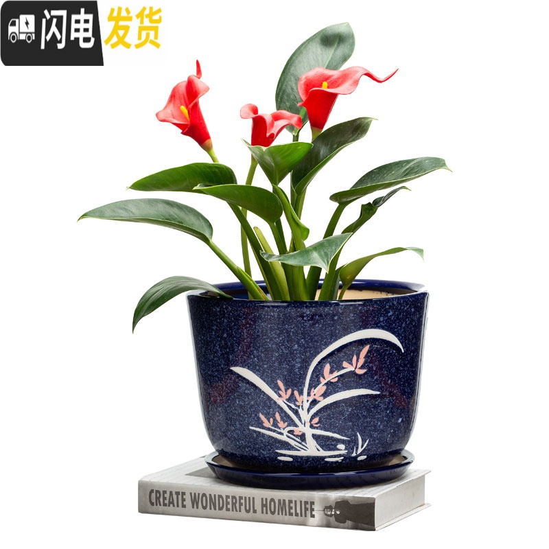 三维工匠陶瓷花盆带托盘大号特大号阳台绿植多肉植物居家办公绿萝花盆 透明059-钩藤花 [特大号]花盆容器高清大图