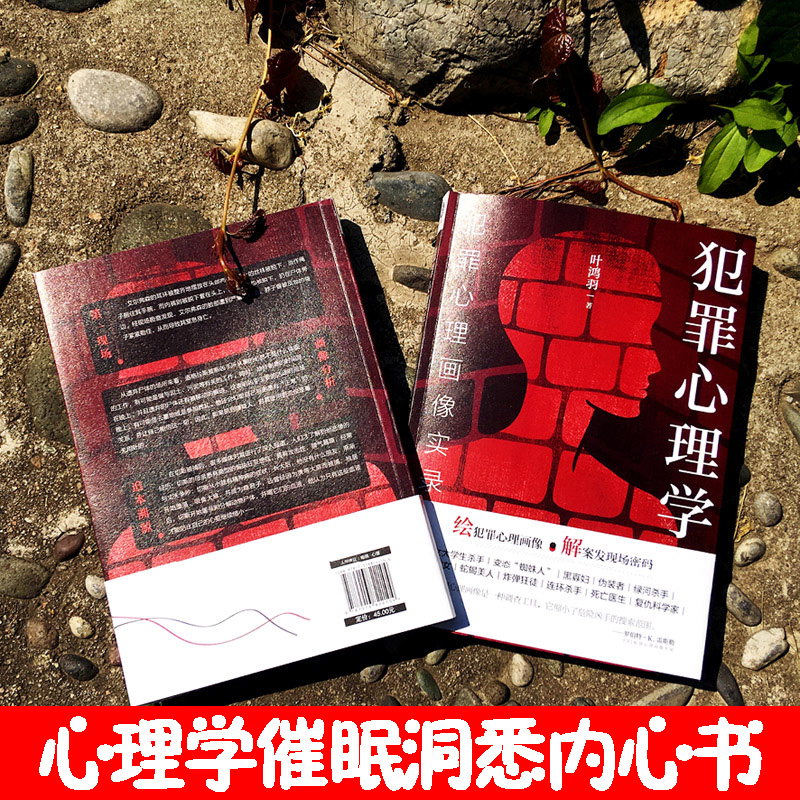 [正版]心理学 犯罪心理学 犯罪心理画像实录 心理学入门社会心理学犯罪心理学催眠洞悉内心书籍基础入门悬疑推理嫌疑人描写高清大图
