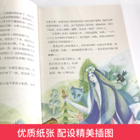 [正版]中国古代神话 亲近母语研究院编语文阅读书目 给孩子的中国记忆古代神话故事书籍三四五年级少儿读物广西师范大学出版