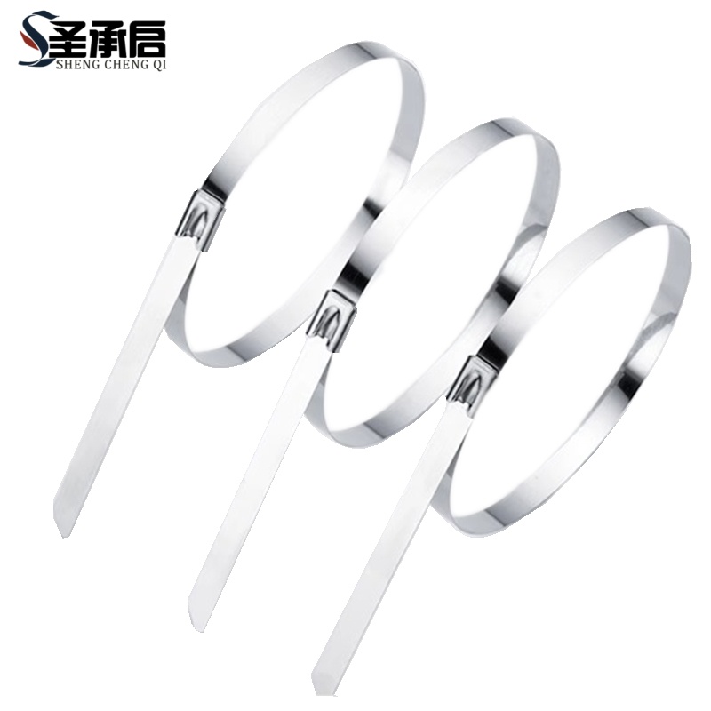 圣承启 固定扎带 10*350mm根高清大图