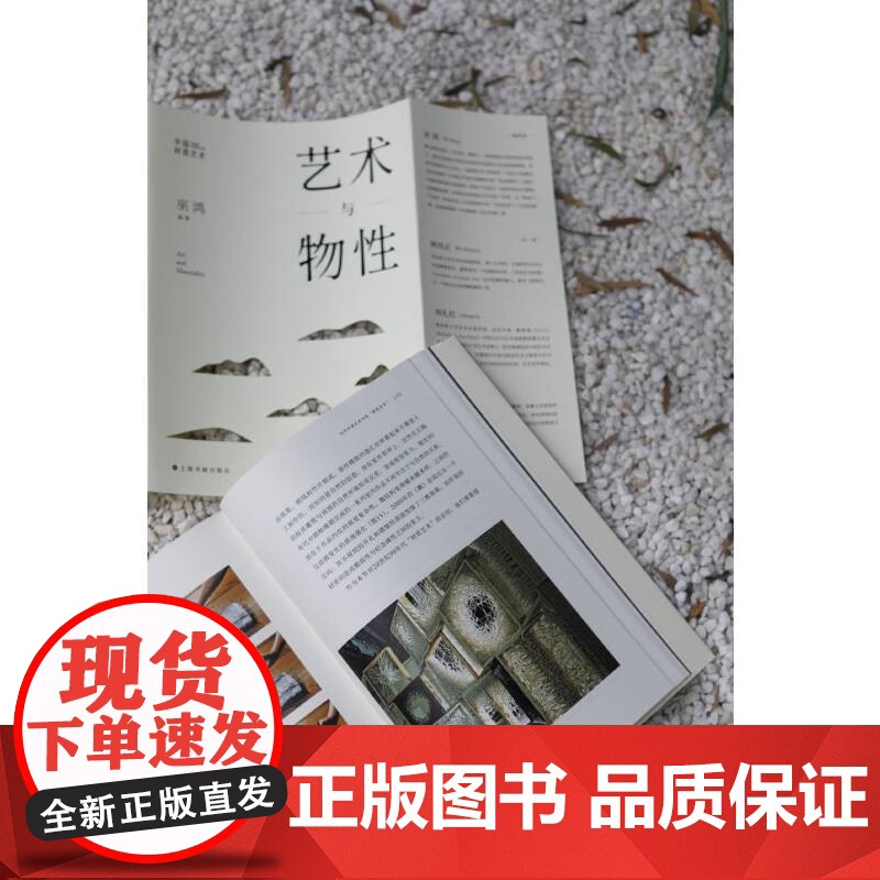 艺术与物性 巫鸿 著 艺术