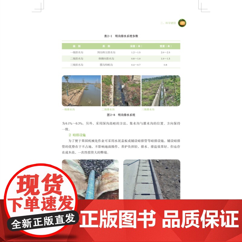 上海市果树全产业链生产技术梨 农艺学梨果栽培梨园管理病虫防治运输等产业链技术服务上海科学技术出版社农业科学技术种植业发展高清大图