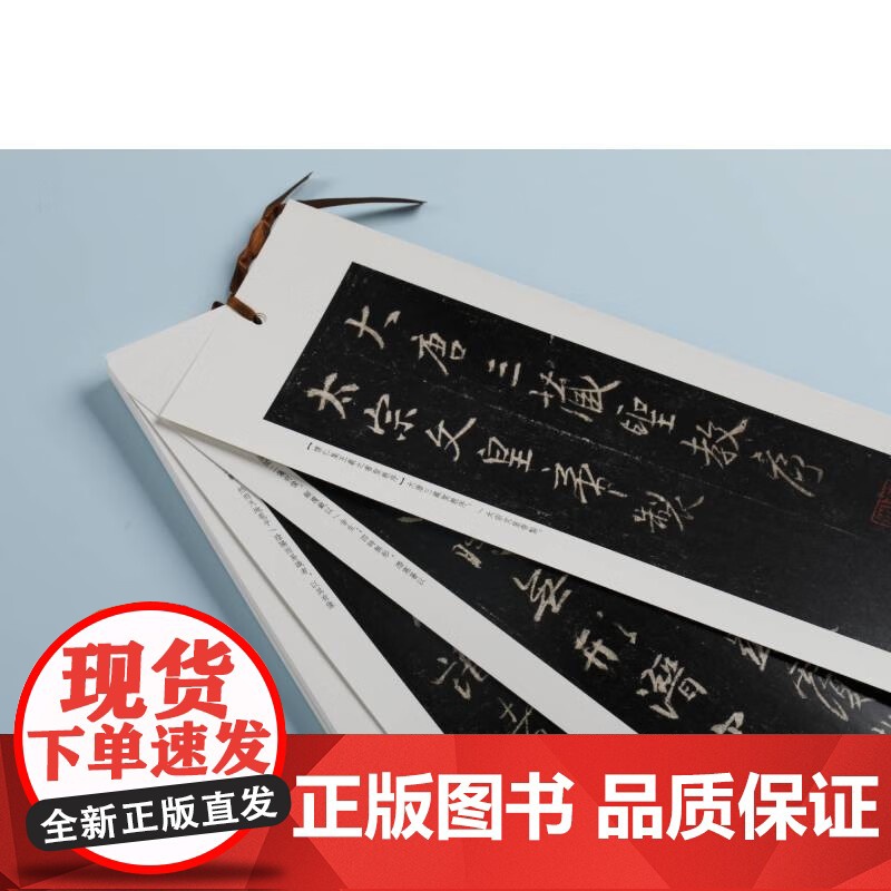 书法摹临两用帖 怀仁集王羲之书圣教序 上海书画出版社 编著 书法高清大图