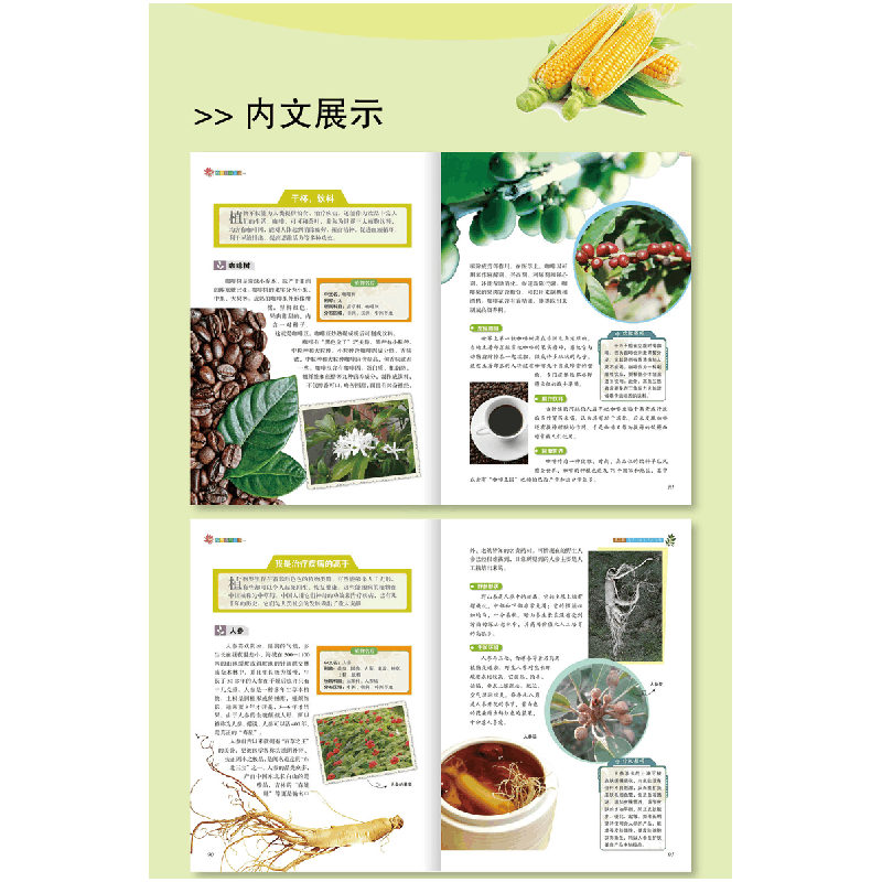 正版新书]植物百科全书才林9787548049289图片