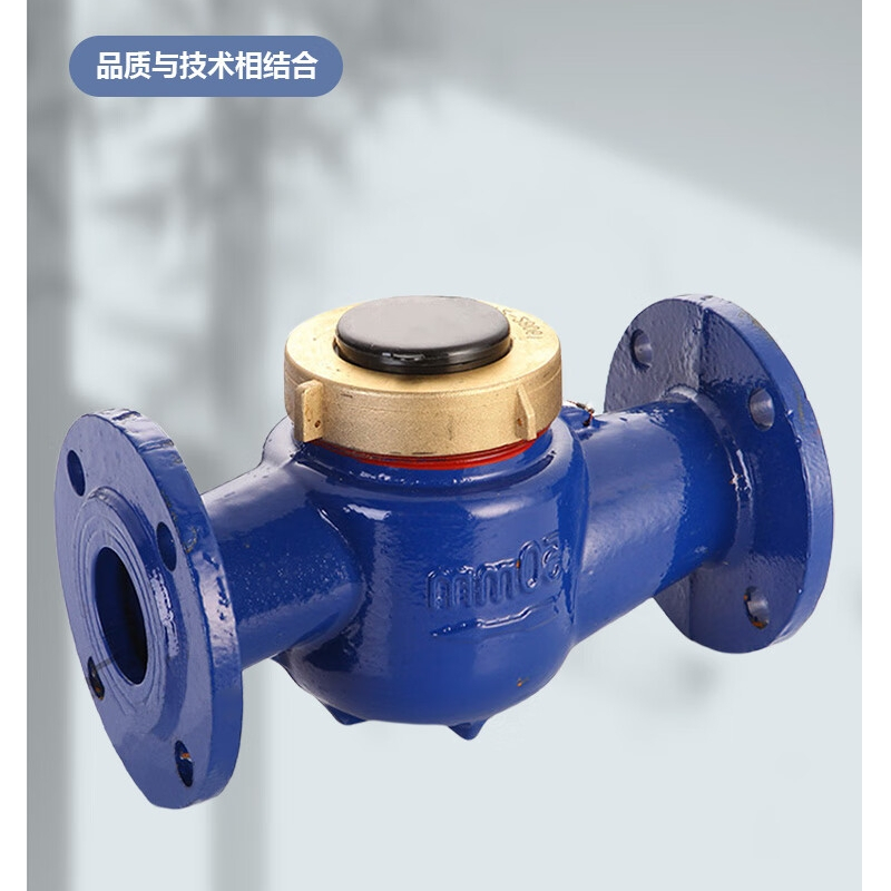 水表DN50/PN1.6/卧式,材质:316L