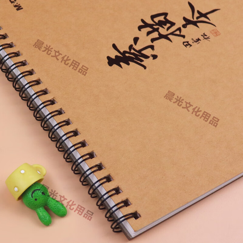 晨光 M&G 双线圈素描本40页(素绘) MA4476 A4 本