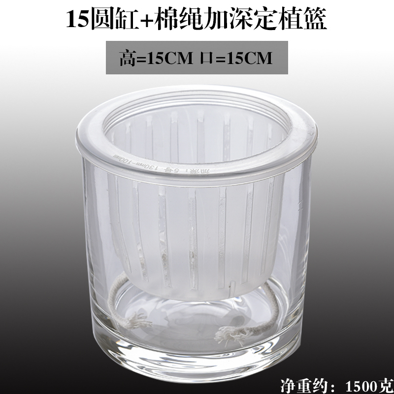 水培器皿创意玻璃花盆水养植物瓶透明花器绿萝白掌花瓶正方形容器