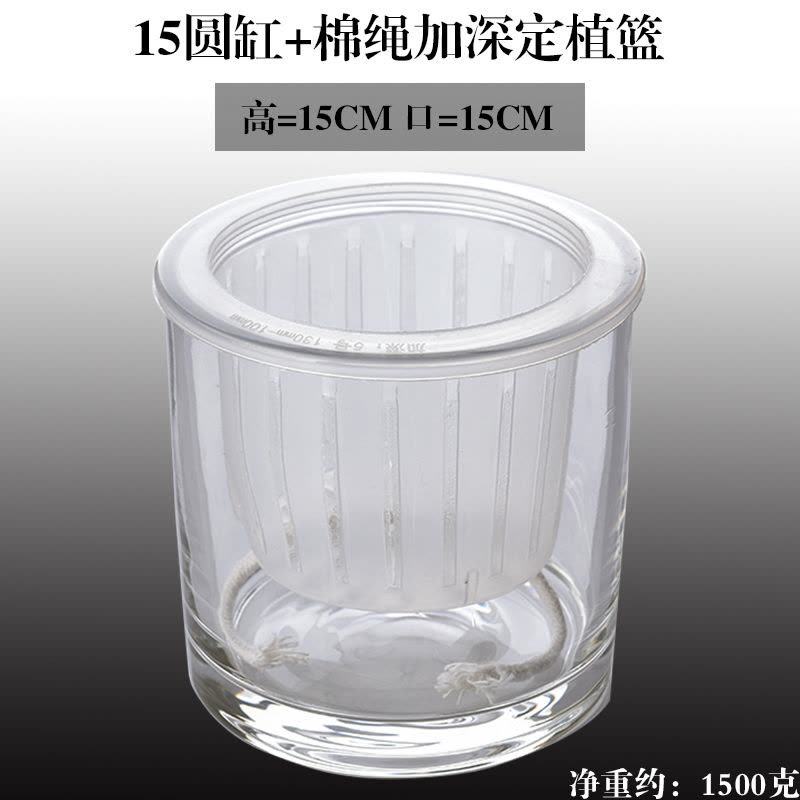 水培器皿创意玻璃花盆水养植物瓶透明花器绿萝白掌花瓶正方形容器图片