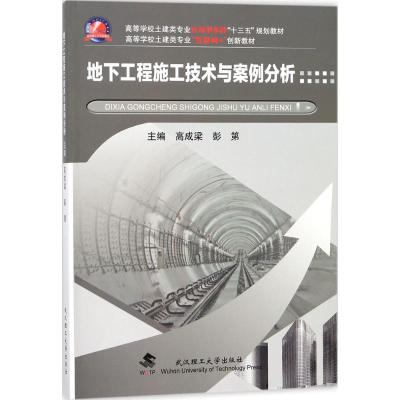 正版新书]地下工程施工技术与案例分析高成梁9787562955559