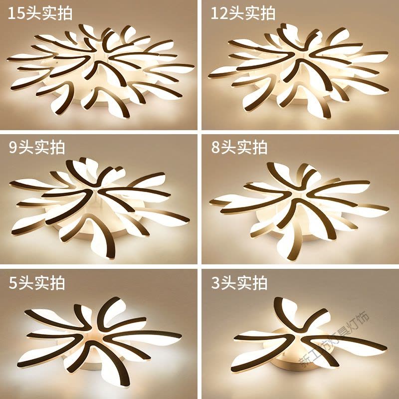 苏宁放心购 客厅灯2020年新款简约大气家用led创意北欧后现代卧室吸顶灯灯具图片