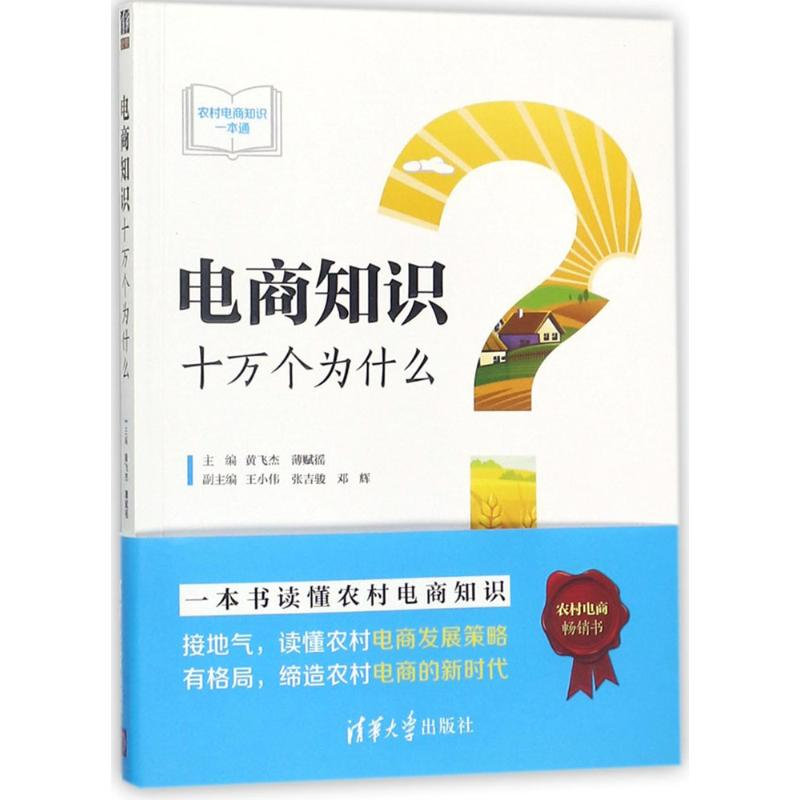 [M]电商知识十万个为什么-9787302491385高清大图