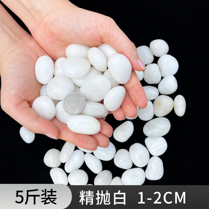 鹅卵石雨花石原石天然小石子鱼缸花盆鹅软石庭院装饰园艺五彩石缸 5斤装精抛白色鹅卵石1-3cm