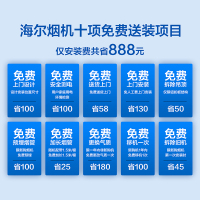 海尔(Haier)欧式T型抽油烟机燃气灶具套装 家用烟灶套餐 燃气灶双灶 按键式15立方E900TS1+QE535天然气