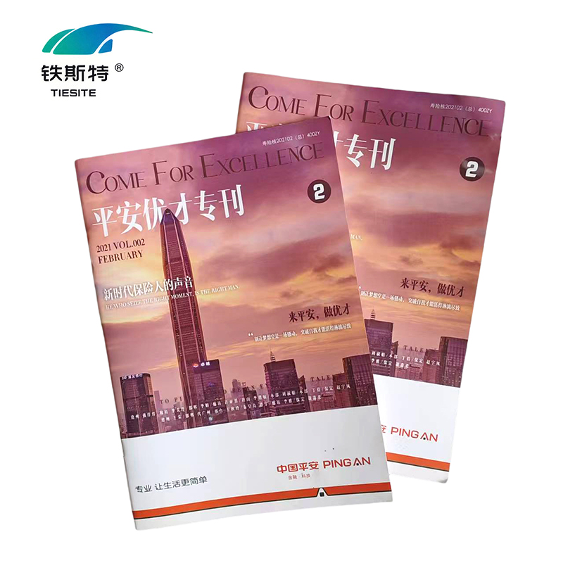 铁斯特 宣传画册定制 TST-C010