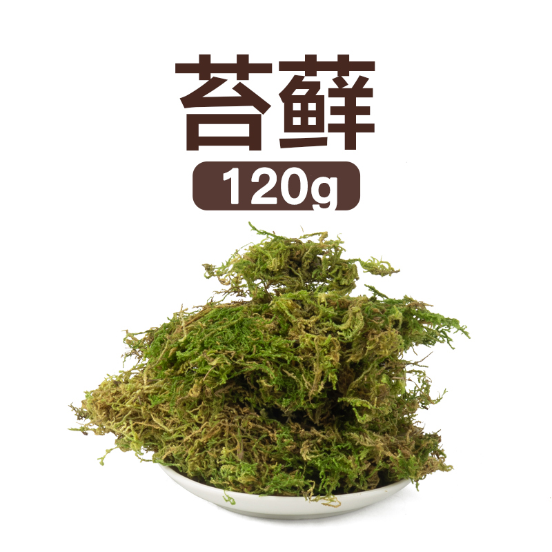 乌龟椰砖爬宠无菌家用营养椰土苔藓乌龟冬眠角蛙蜥蜴守宫爬虫垫材 默认尺寸 苔藓120g
