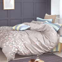 芳恩家纺 FN-Z551 活性澳棉四件套 澳棉绒 床上用品 2米 欧式 韩式 透气 保暖 2m*2.3m 蓝色