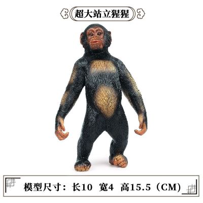 M-1204大站立猩猩 仿真动物猩猩金刚模型塑胶静态摆件 巨猿大号黑猩猩野生动物模型