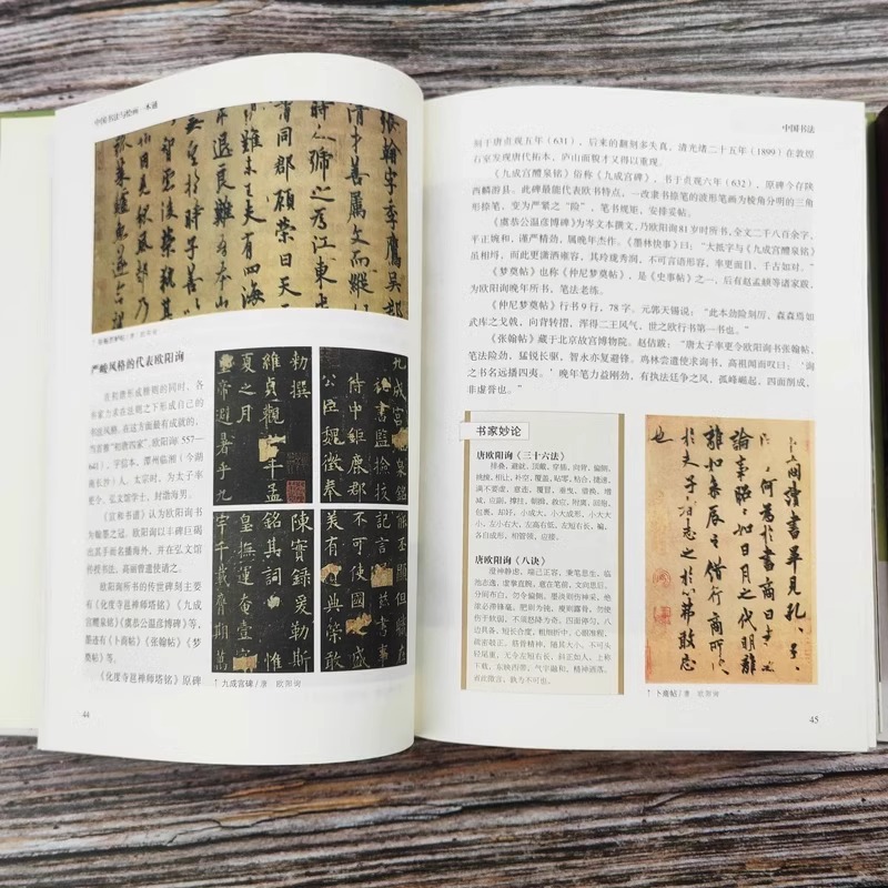 [正版]精装图解中国书法与绘画一本通零基础入门中国书法大全草书行书技法通识简史全集中国画历代绘画大系的历史与审美鉴赏书高清大图