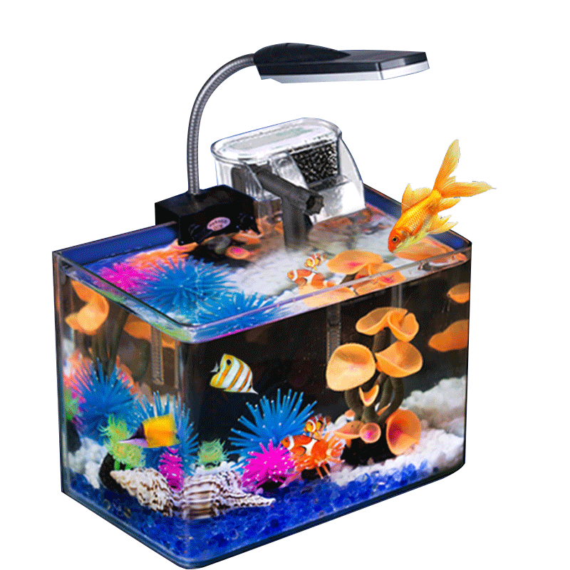 鱼缸水族箱迷你小型金鱼缸乌龟缸办公桌生态创意鱼缸方形透明玻璃高清大图