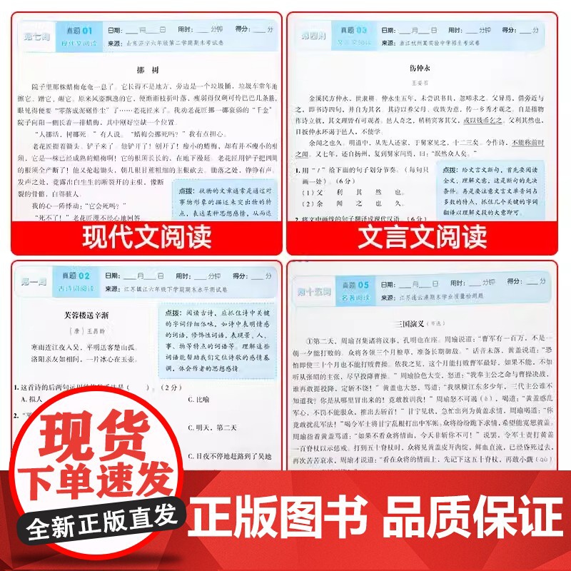 小升初阅读理解专项训练语文阅读组合集训人教版六年级下册阅读强化训练书小学升初中文言文现代文古诗词课外阅读真题总复习必刷题高清大图