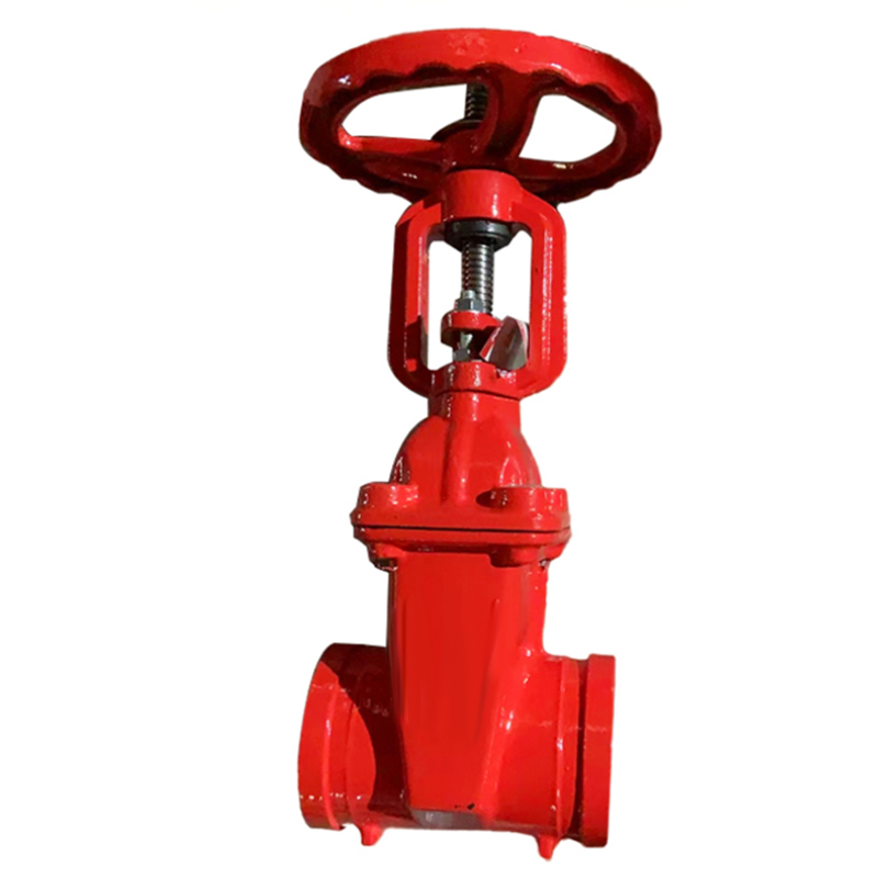 兴酉 沟槽明杆闸阀 DN125 个高清大图