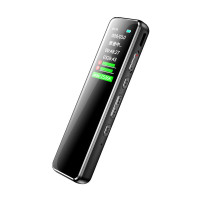 新科(Shinco)录音笔A01 8G专业高清微型录音器 超长录音 智能降噪 远距收音迷你便携式隐形录音设备 黑色