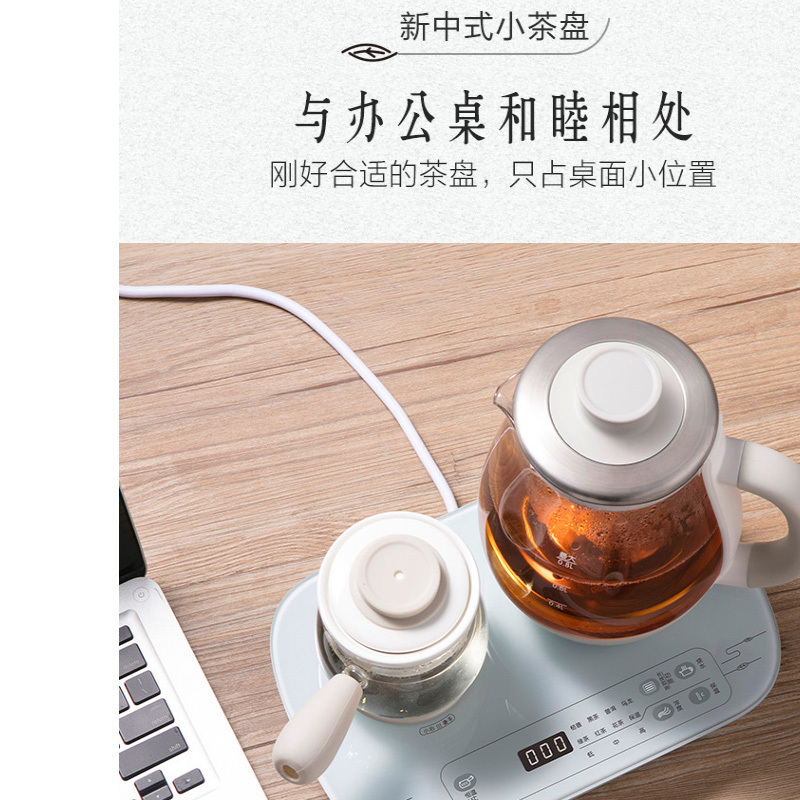 小熊(Bear)煮茶器煮茶壶 0.8L蒸汽喷淋式养生壶电水壶ZCQ-A08E1