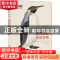 正版 博物学家的自然探索传世手稿 (英)安德里亚·哈特//保罗·马