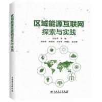 区域能源互联网探索与实践 肖世杰 主编 专业科技 文轩网