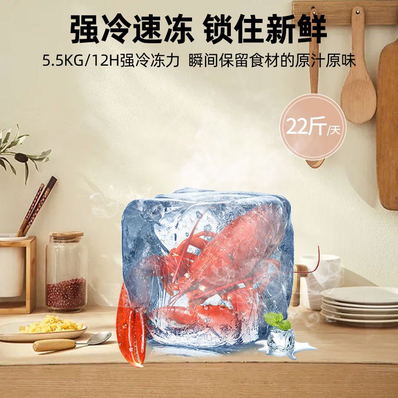 星星(XINGX) 200升家用冰柜 冷柜 商用 微霜技术 双温冰柜 顶开门 微霜系列 强冷冻力 BCD-200XR