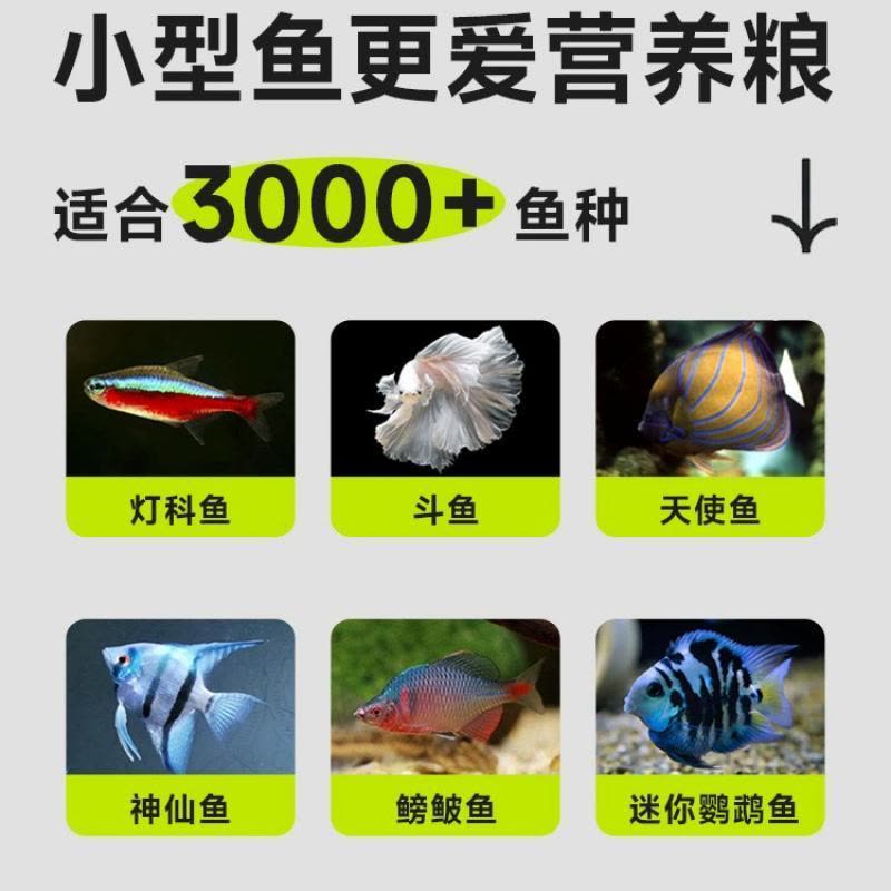 小型鱼饲料微粒鱼粮孔雀鱼饲料幼鱼小型鱼热带鱼粮观赏鱼鱼食图片