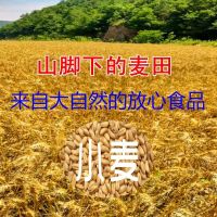 小麦面粉5斤面粉批发5斤面粉 家用面粉10斤特精粉 特精粉5斤