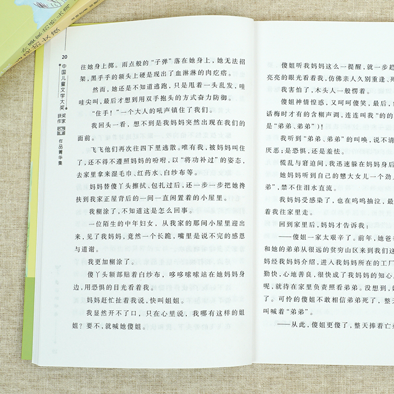 中国儿童文学大奖获奖作家作品集 10本 [正版]中国儿童文学大奖获奖作家作品菁华集 青白 让我遇见你 遥的城市 儿童文学