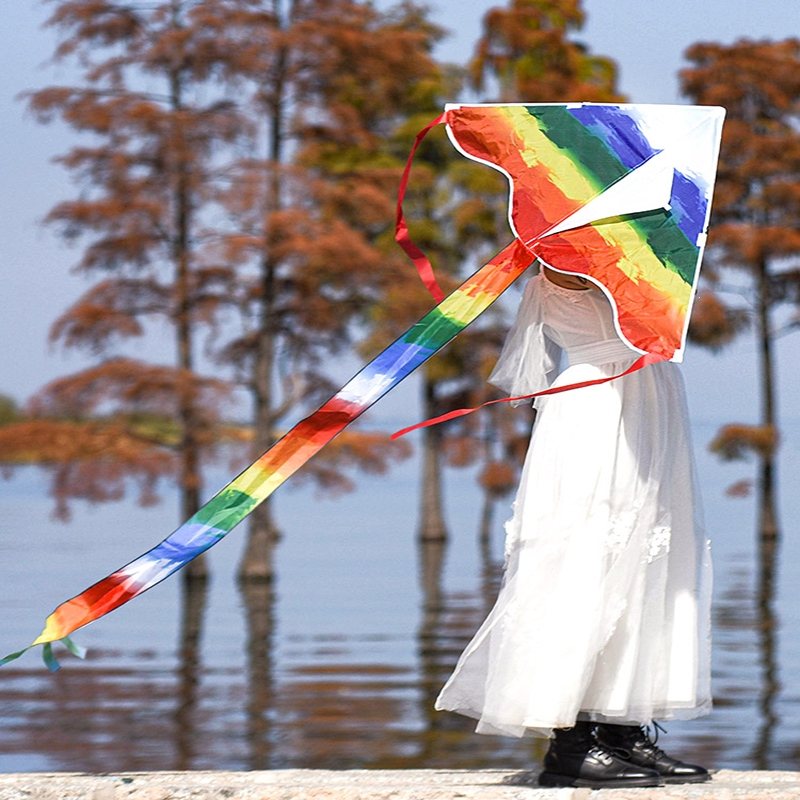 彩虹风筝儿童微风易飞个性网红闪电客风筝大型风筝大人专用