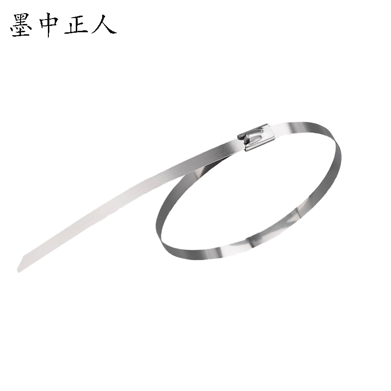 墨中正人不锈钢扎带zd700根高清大图