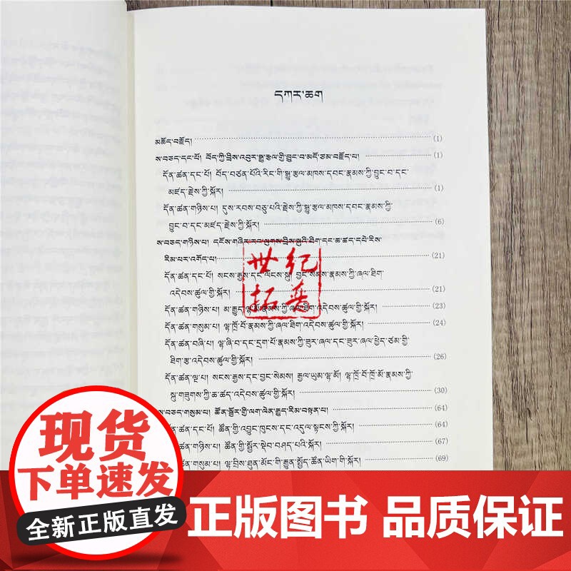 正版 西藏绘画藏汉对照 丹巴饶巴著 中国藏学出版社高清大图