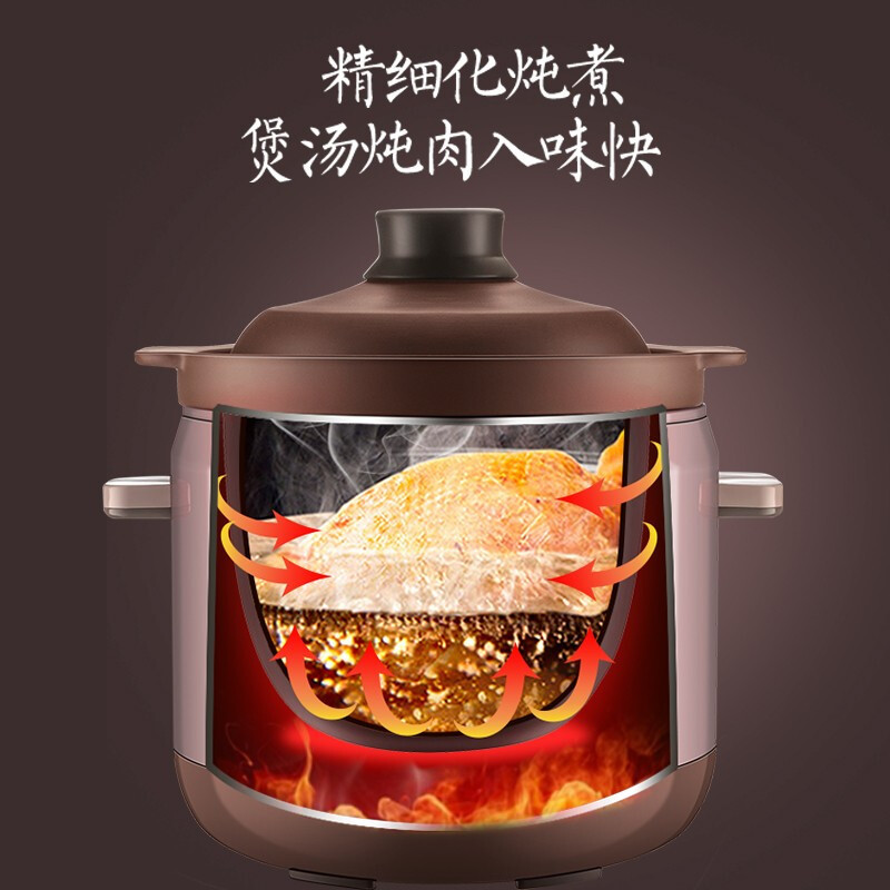 天际(TONZE)电炖锅 家用全自动智能陶瓷养生煲汤锅电用多功能电炖盅 煮粥煲汤锅紫砂锅 DGD50-50DZWD 5L