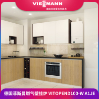 国产普通Vitopend 100-W A1JE 两用式 24KW