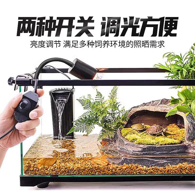 乌龟晒背灯全光谱龟灯补钙专用uva灯加热灯爬宠uvb灯取暖龟背晒灯图片