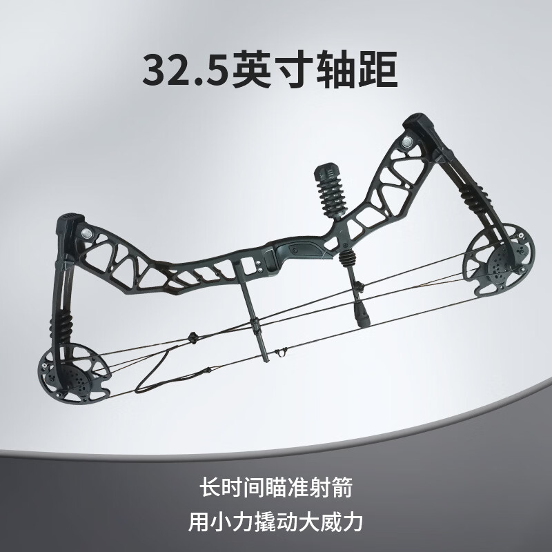 大唐御复合弓滑轮弓箭成人射箭套装户外两用弓裴奇S1火麒麟比赛竞技弓箭 恶棍两用弓实用套装高清大图
