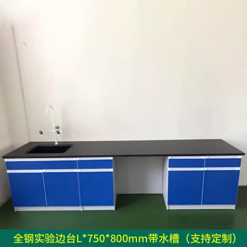 汉诺鑫威全钢实验台钢木PP边台柜试验台化验室工作台实验室桌操作台定制(每米单价)【工厂现做 7天内发货】 全钢实验边台带水槽L*750*800mm