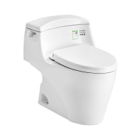 TOTO卫浴家用超漩式冲水智洁釉面节水连体坐便器抽水马桶CW923REB