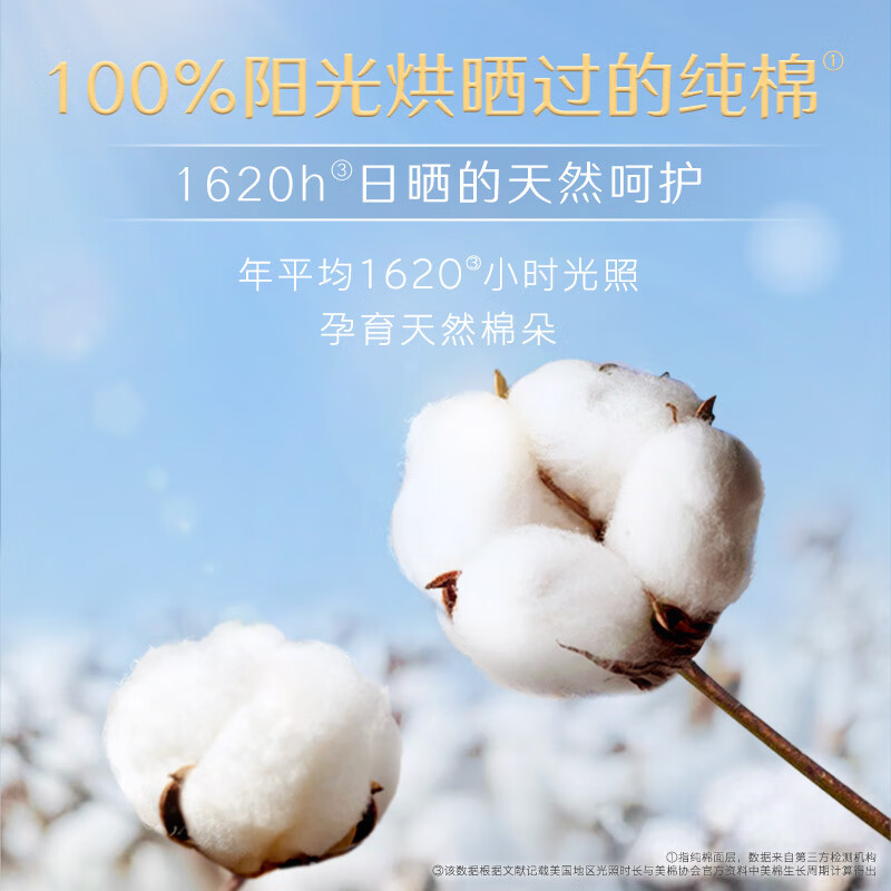 高洁丝卫生巾日用240mm.高清大图
