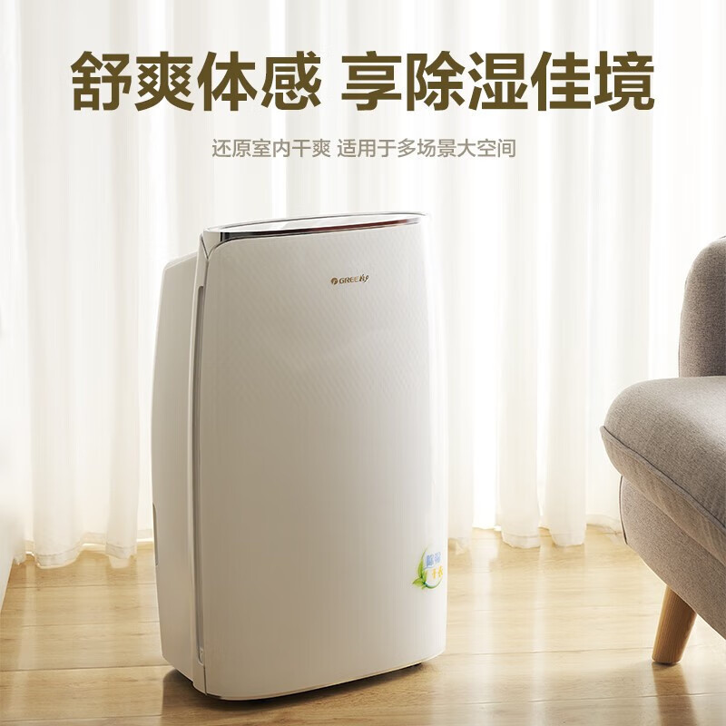 格力(GREE)抽湿机/除湿机 别墅家用卧室办公室低噪干衣除湿器20升/天 适用40平方米以内 智能数控(DH20EF)
