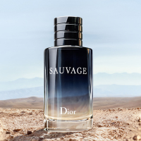 [送礼优选]迪奥(Dior)旷野之心淡香水100ML 礼盒精装版/经典香调/运动/户外/男士香水